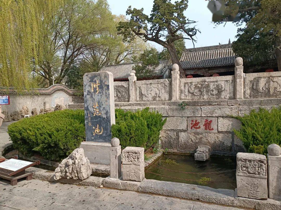 又见平阴玫瑰花乡_济南人_旅游_洪范池