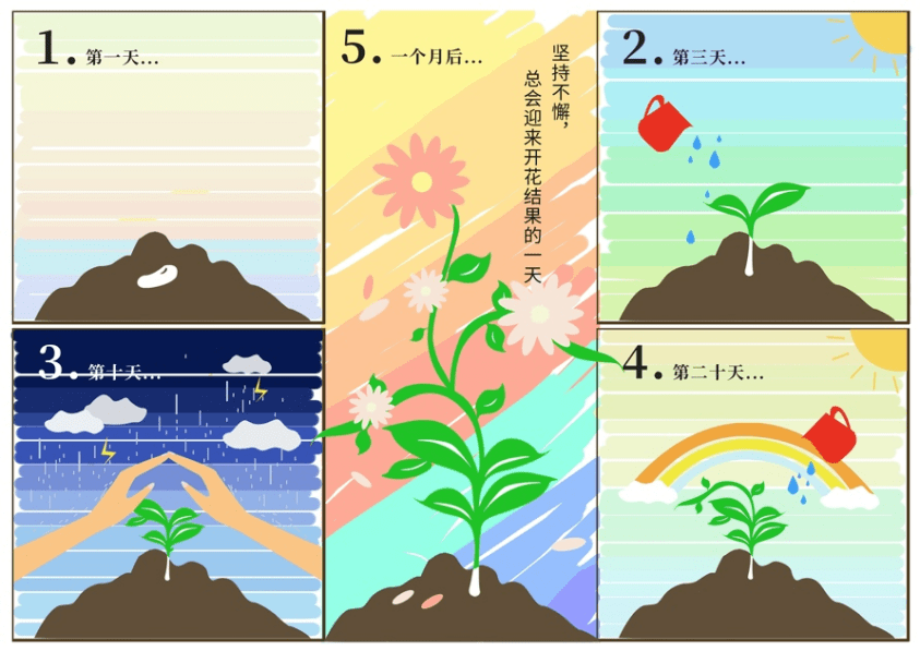 植物生长连环画4图图片