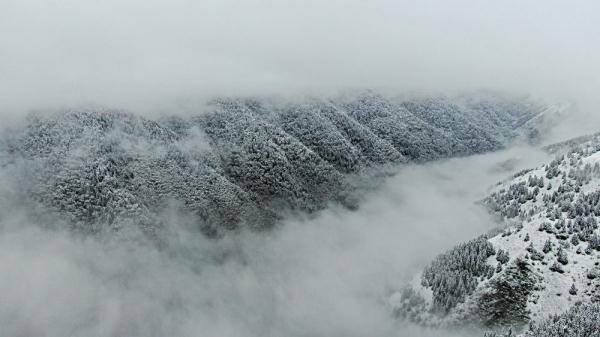 甘肃宕昌：初夏飞雪