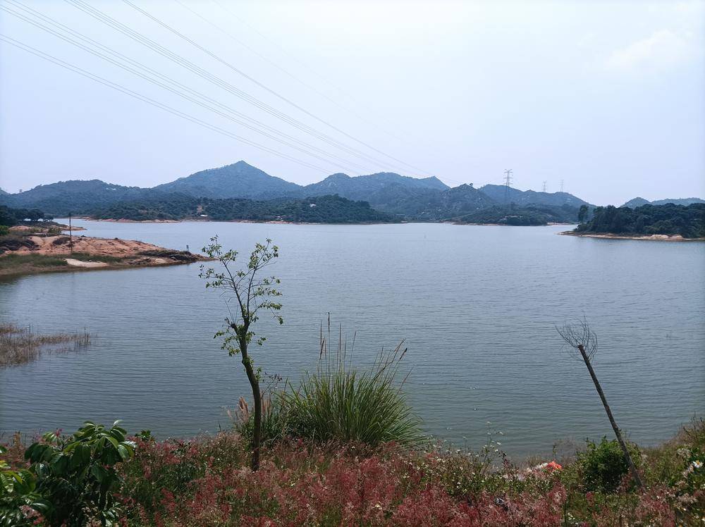 茂名首单水库水产养殖保险再落地茂名电白区