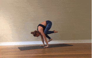 313_198gif 动态图 动图