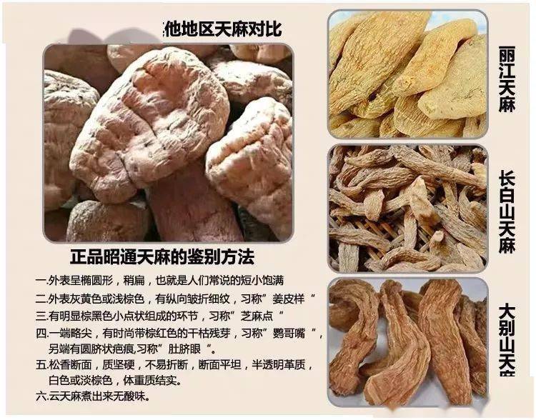 天麻经常在吃但它真正的秘密你却不知道
