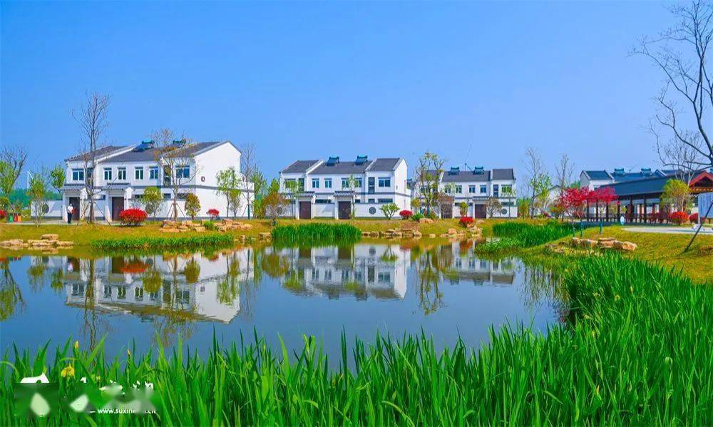 文明宜居,向"美"而行!宿迁持续改善农村人居环境_生活_乡村_社区