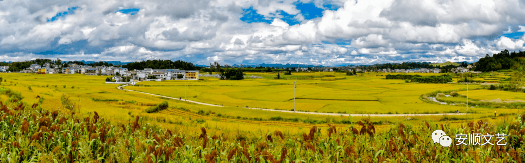 19大黑村見!_西秀區_安順市_鄉村旅遊