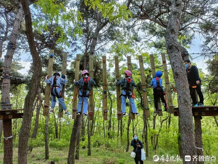 周末南山迎客流小高峰！济南近郊游“回归”，“微旅游”兴起