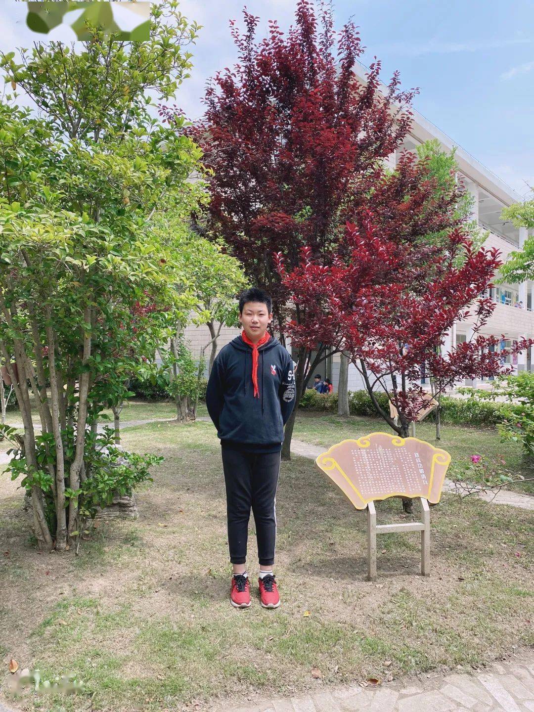 廉洁家风诵读④传清廉家风做时代新人运西小学