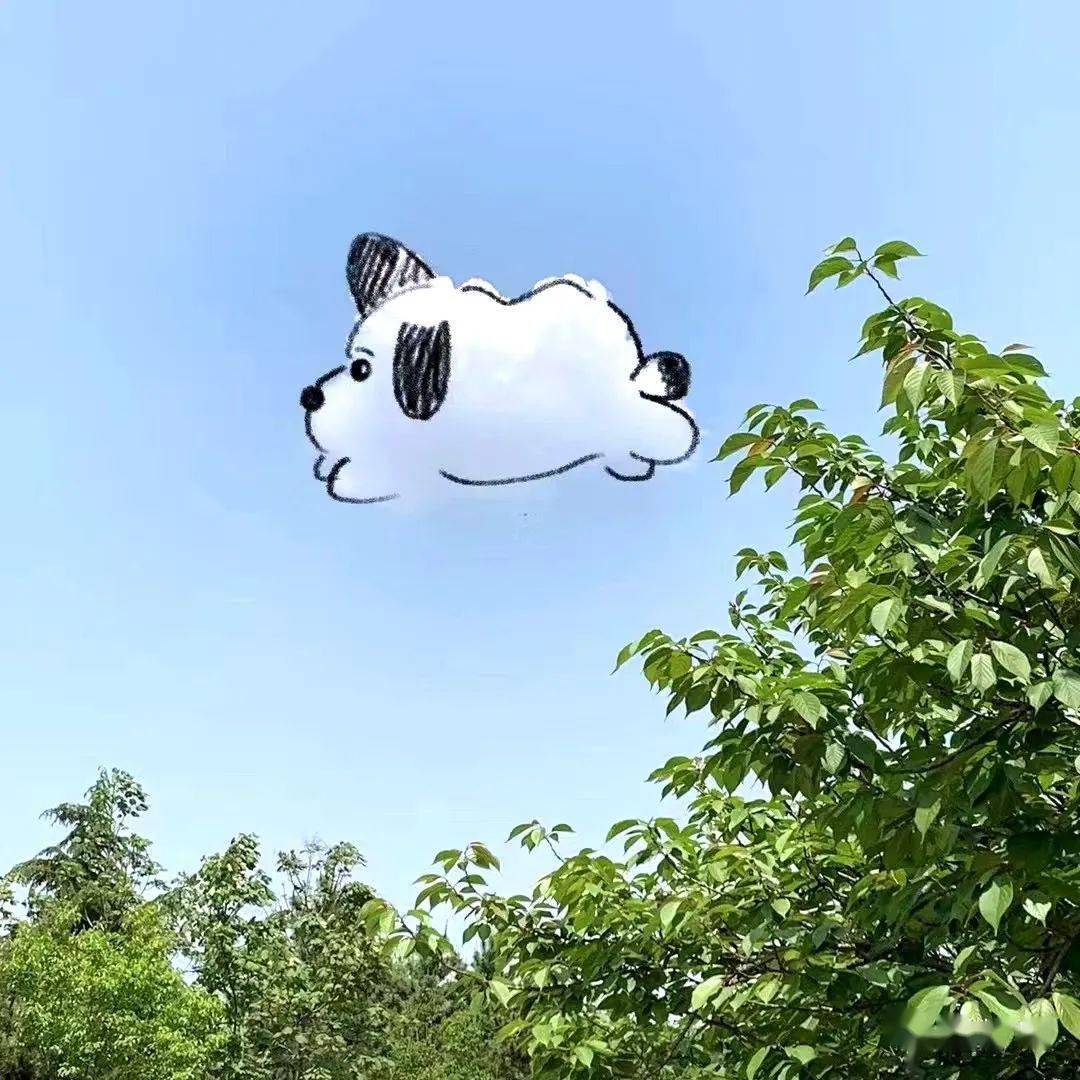 青州人的朋友圈被蓝天刷屏!_图片_云朵_版权