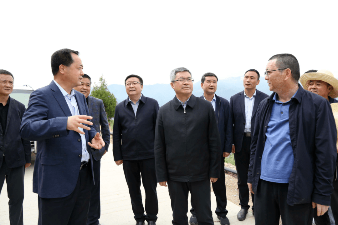张旭晨在武都区调研春季造林和林果产业发展等工作