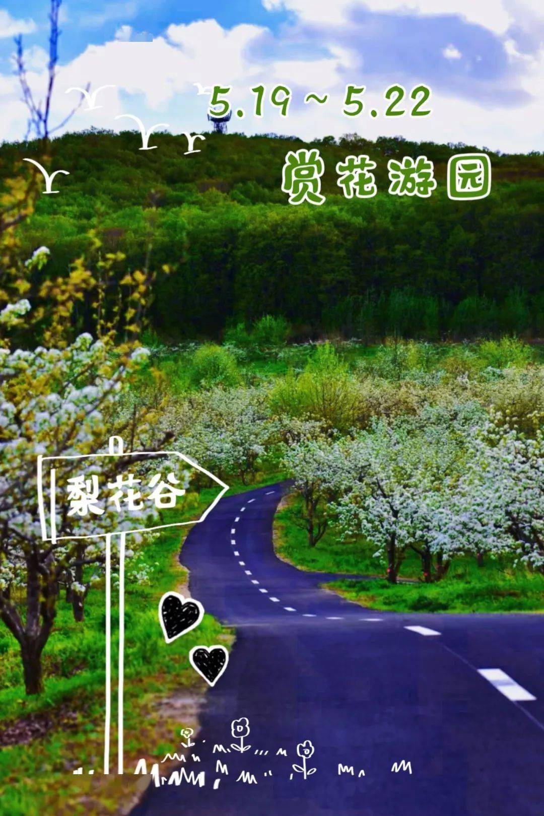您有一份"文旅鹤岗抖音慢直播"订单,请查收!_旅游_宣传_梨花