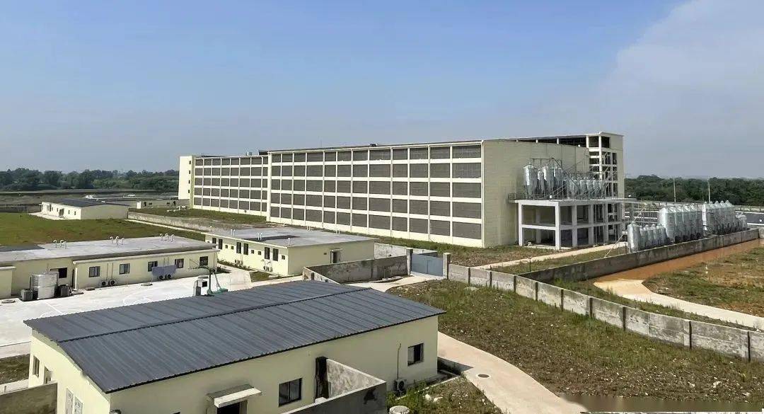 会长动态|新希望建成全国首个种猪生产与种猪培育楼房式一体化猪场