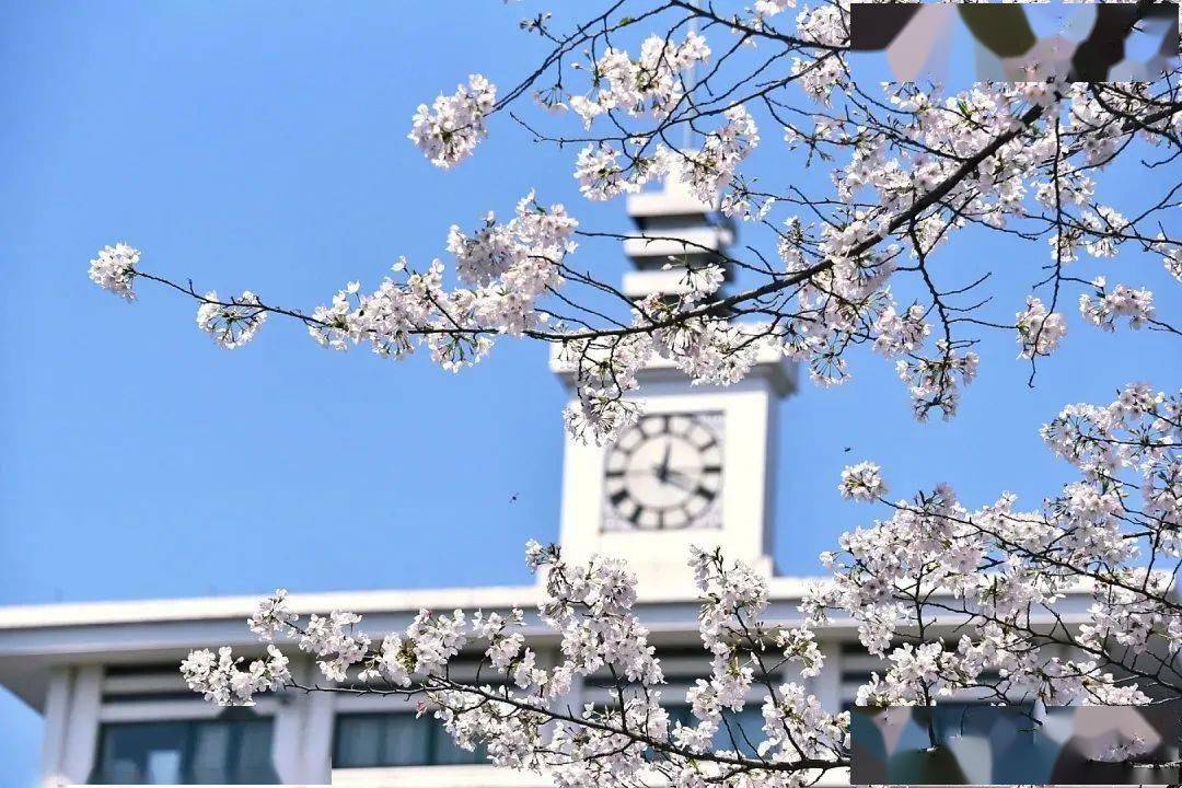 【校园采风】杭州第十四中学:用"浪漫"的化学实验表白亚运,这项22年的