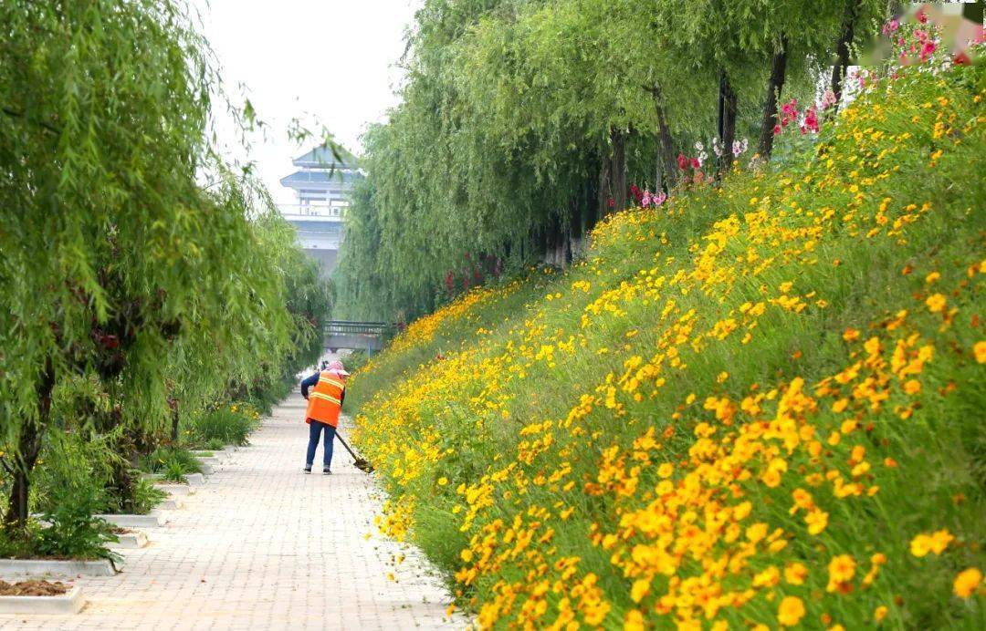 隨州_佈景_迎賓大道