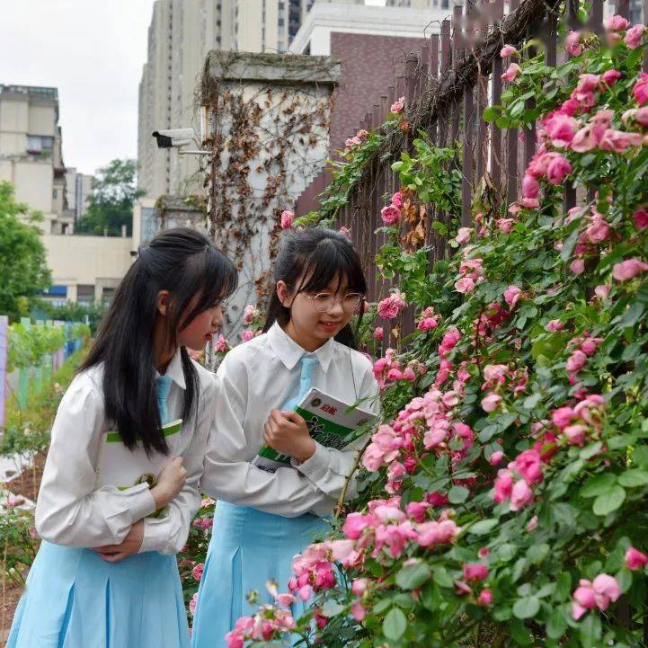 观塘中学图片