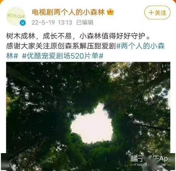 橘子晚报金佳蓝暂时退队那英宁静扯头花