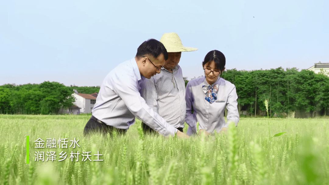 未来中国金融行业创业项目_幼儿教育行业创业项目_未来好的创业行业