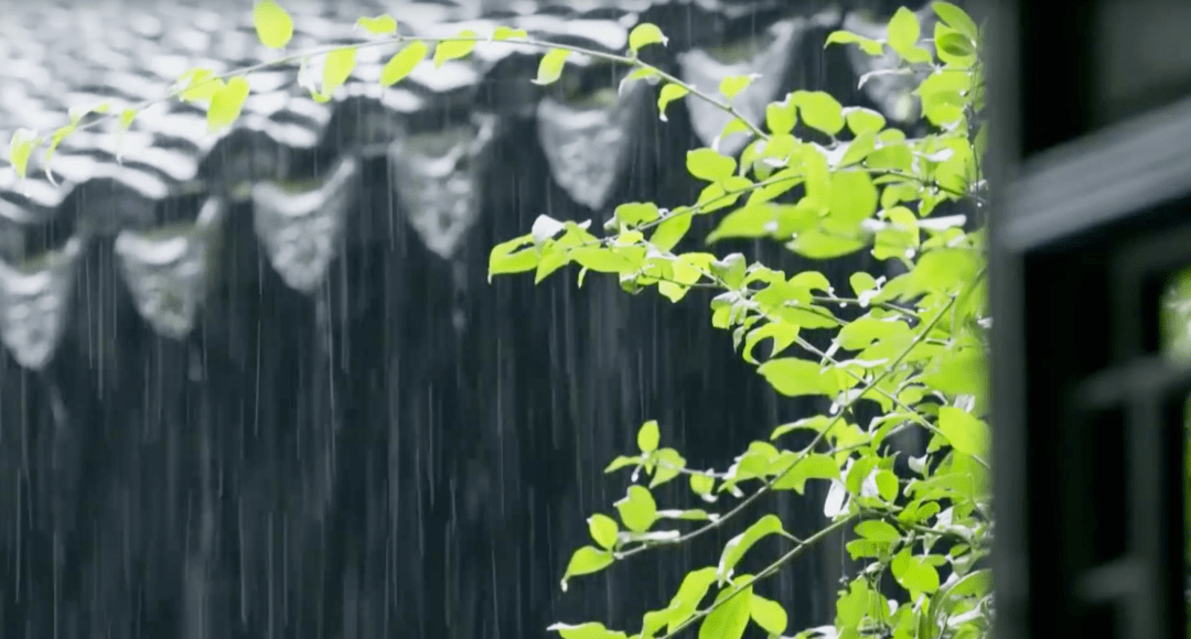 小满万物恰当的刚刚好