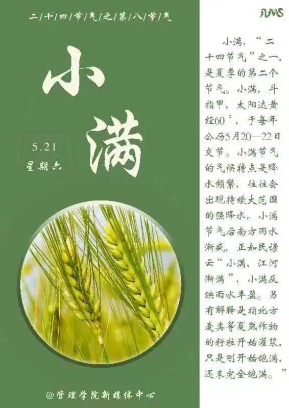 小满万物小得圆满美好恰逢其时