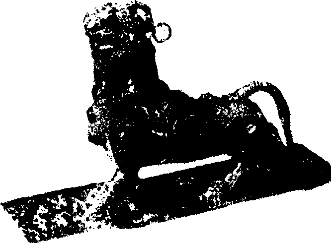 论中国的有翼神兽_滕固_六朝_winged