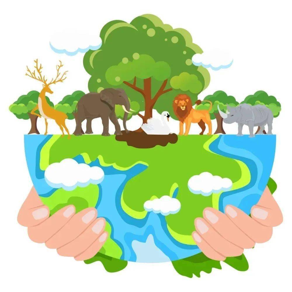 共建地球生命共同体定州市生态环境开展522国际生物多样性日宣传活动