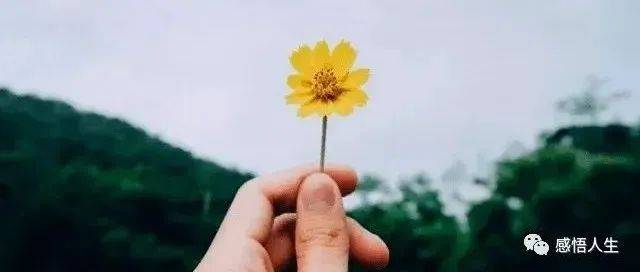 一个人的教养(深度好文)_对比_身份_因为