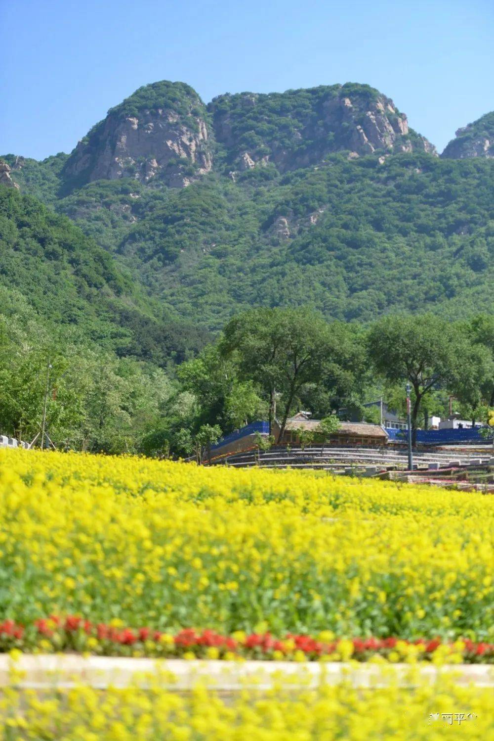 平谷梨树沟村图片