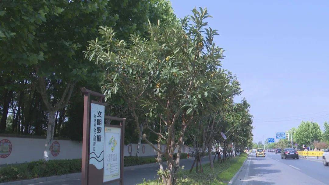 姜堰人注意这件事别再干了