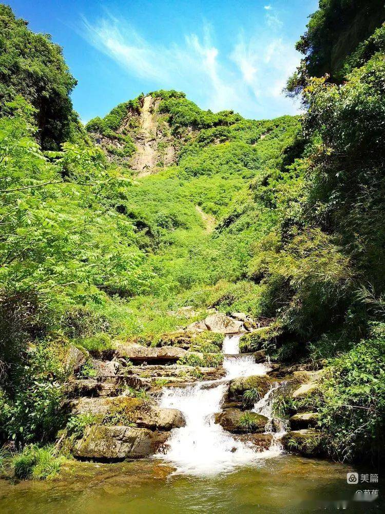 漢中龍頭山高山杜鵑迎來最佳觀賞期花海如瀑一眼萬年