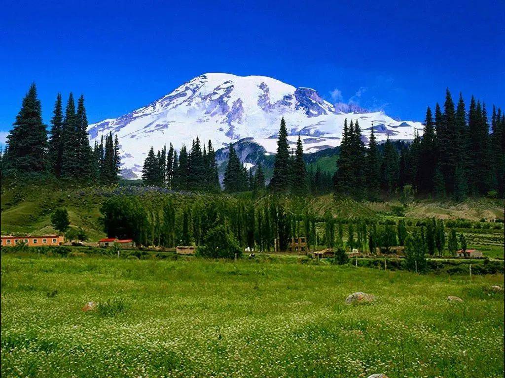 精河县旅游热带动农家乐蓬勃发展