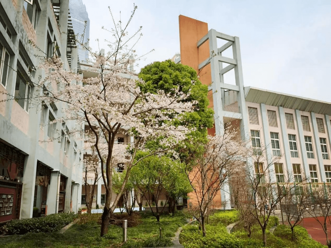绿色学校——马鞍池小学在这里,你能看到社区垃圾分类智能化设备,日常