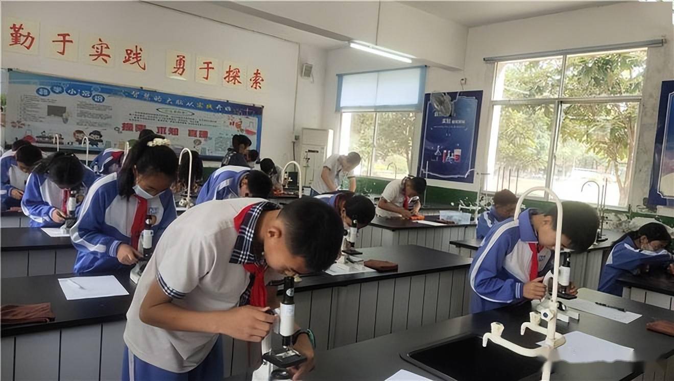 学校实践