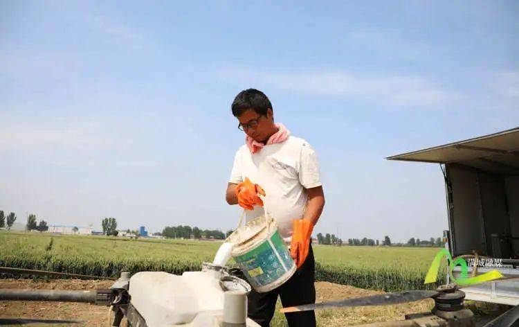 5月23日,在滿城區南韓村鎮東苟村的麥田內,植保無人機手將配製好的