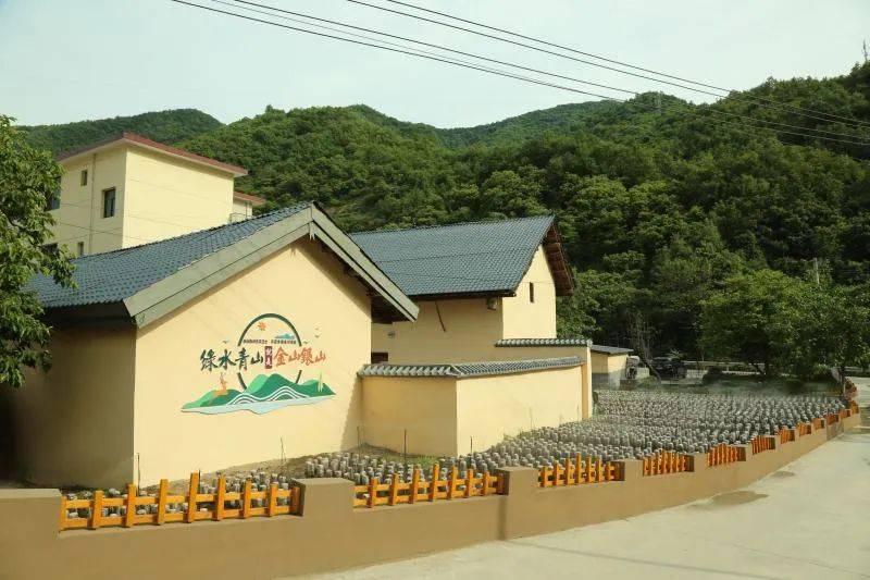 【党代会后看发展】绘就秦岭乡村新画卷_米村_环境_产业