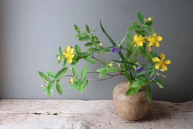 这些小黄花就少了故事里的伤愁,多了些生命的热烈_金丝桃_菖蒲_蒲公英