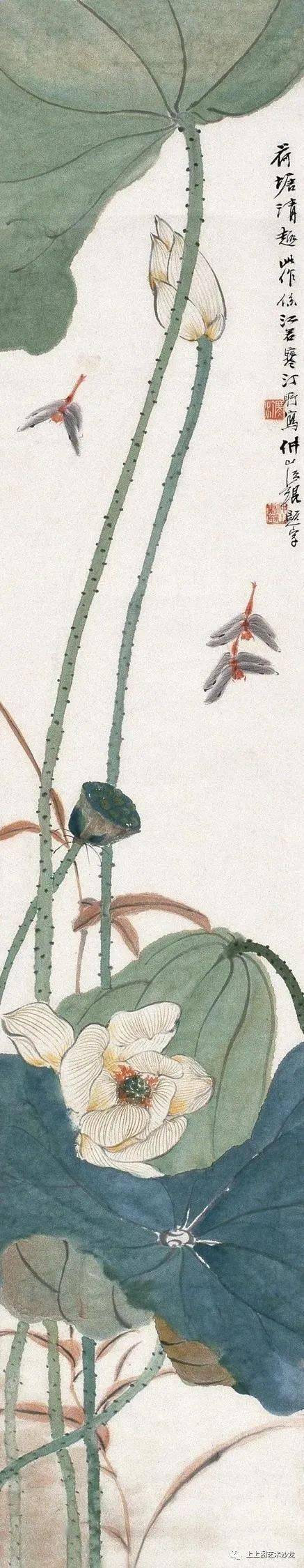 江寒汀画荷,真是美呀!_花鸟画家_虚谷_荷花