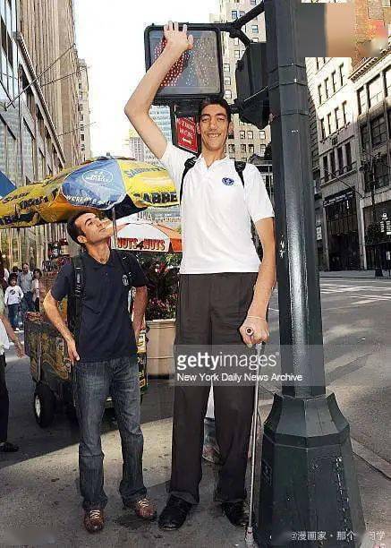 赶快戴回去,我想看看整体效果_苏丹科森_兄弟_轮椅