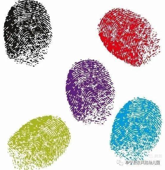 人类指纹vs动物指纹指纹小调查中六班孩子们都观察的非常仔细,那么,就