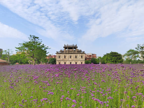 图为5月19日在梧林村紫色花海前拍摄的朝东楼.