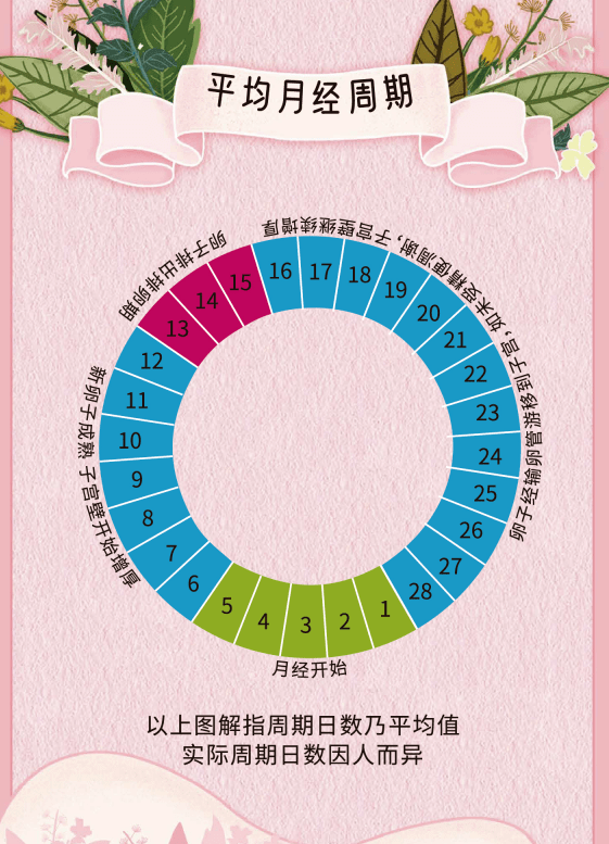 月经周期的四个阶段2女性生理周期也叫女性生理期,月经周期(不是单纯