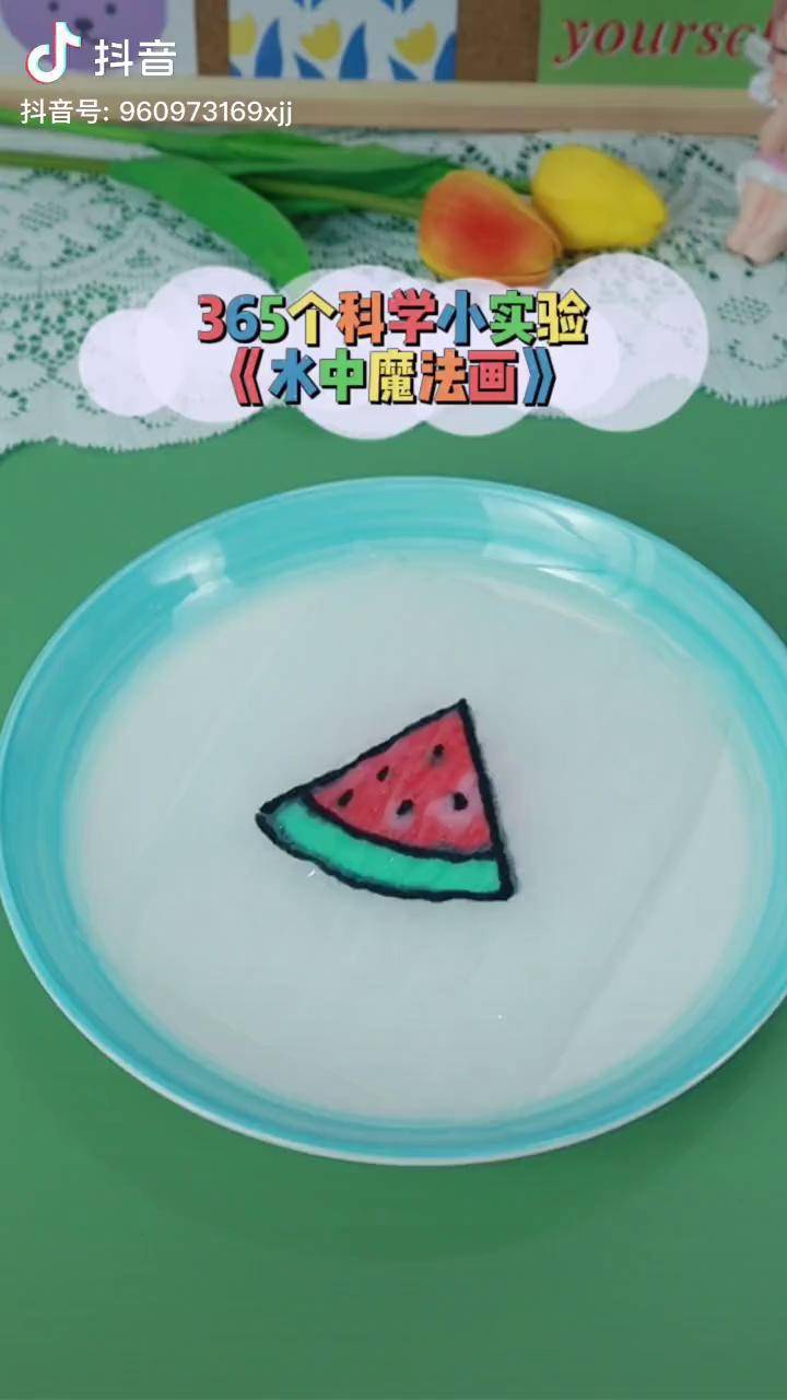 365个科学小实验水中魔法画科学小实验趣味实验