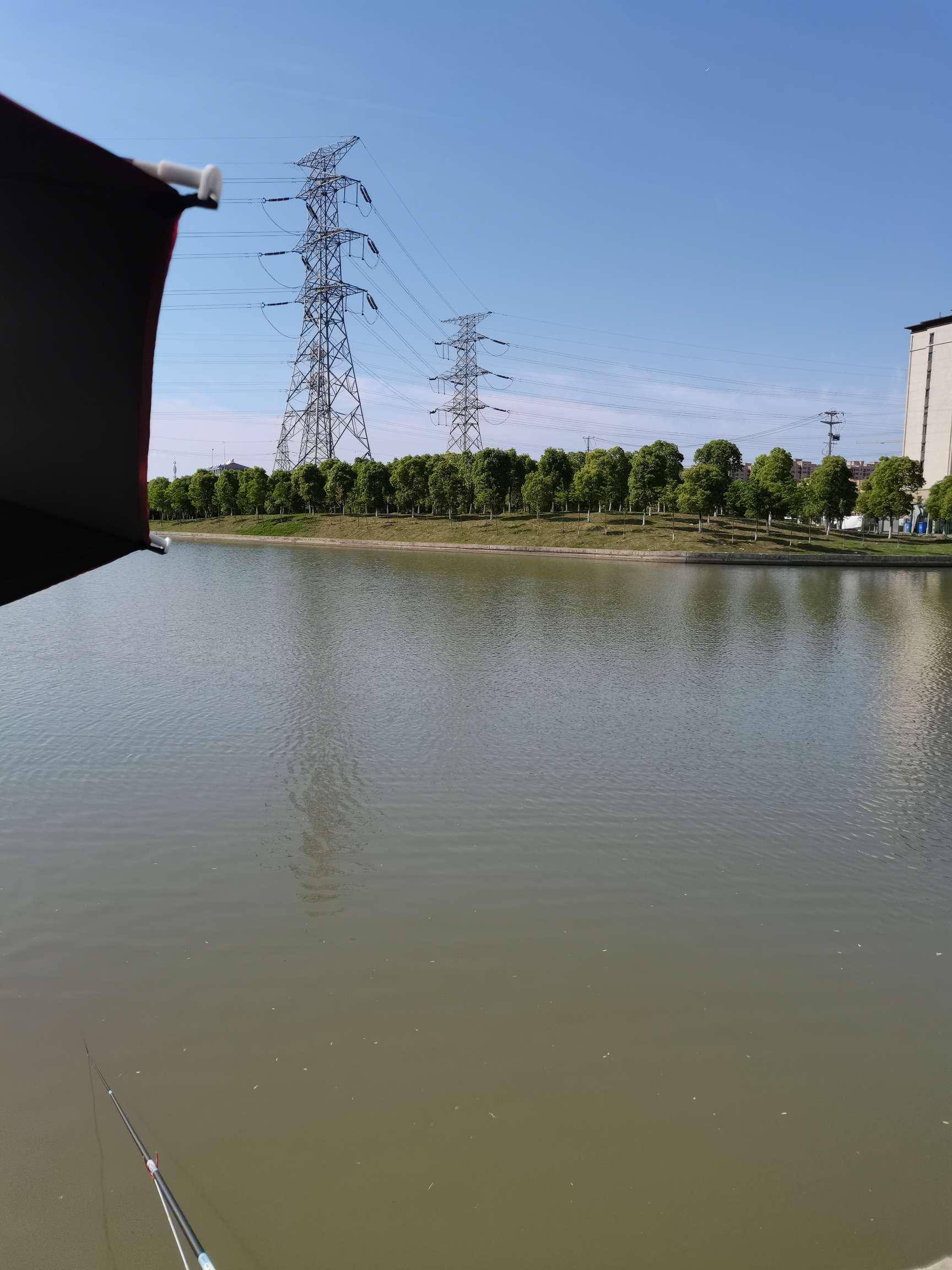 「五月鱼获」破龟迫在眉睫,小河道钓大鲤_鲫鱼_空军_鲢鳙