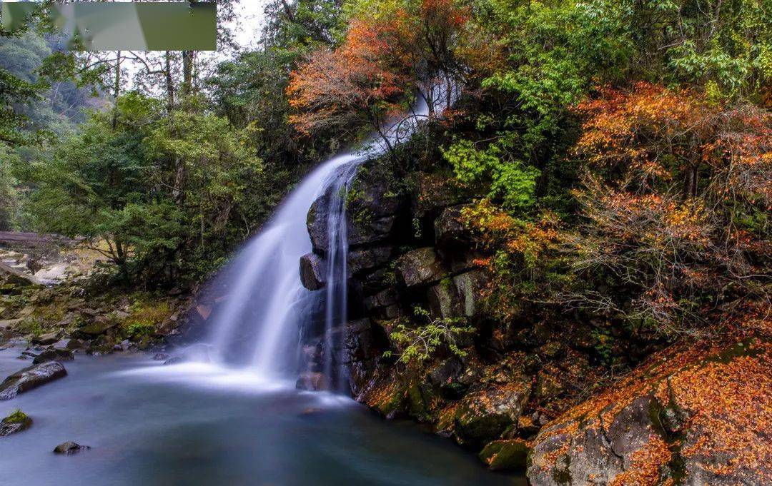 镜头下的将乐龙栖山到底有多美进来看看