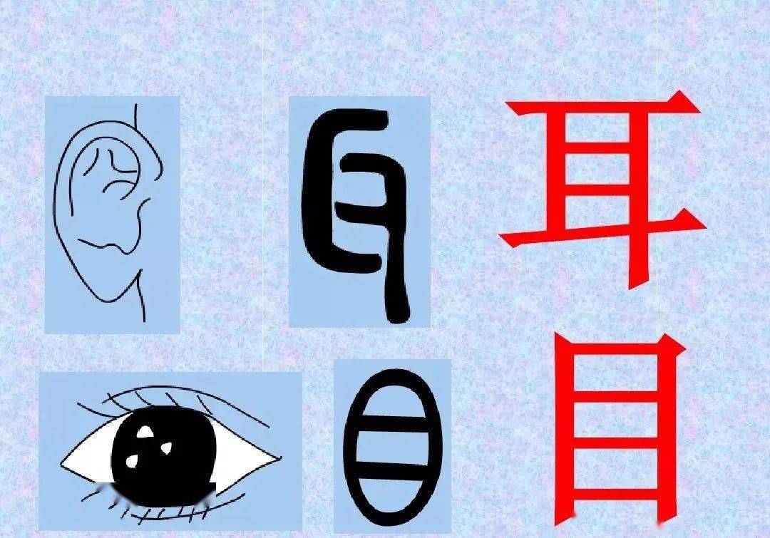 常见象形字生动有趣让孩子轻松爱上书法