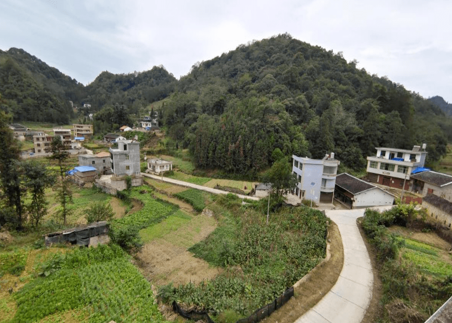 富宁县2022年5月农村人居环境整治"红黑榜"_垃圾_阿用乡_里达镇