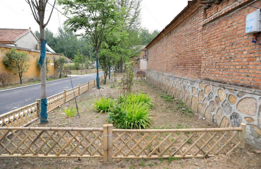 县区动态|杜集区:生态竹篱笆围出"乡村好风光"_张桥_双楼_高岳街道