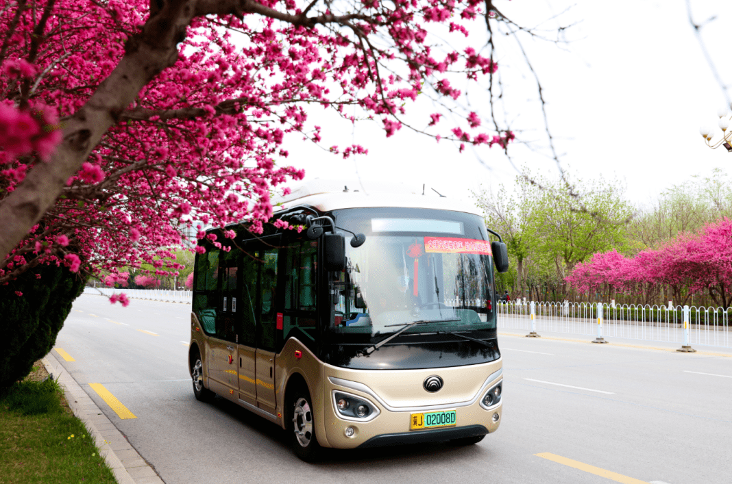 沧州网红公交车上线你注意到了吗