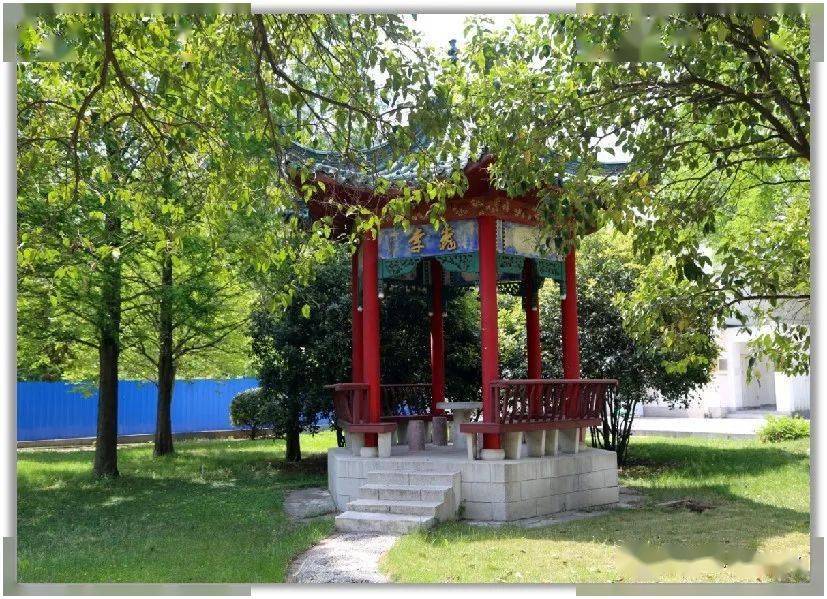 直击中考洛阳理工附中带你科学准确填报2022年中招志愿