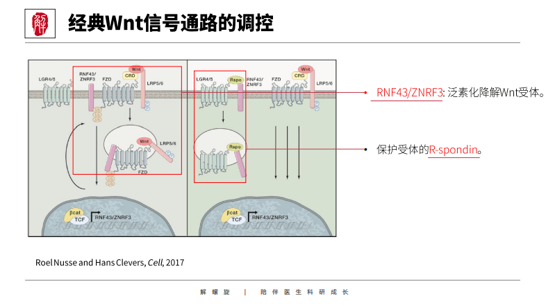 影响因子127分的sci信号通路免疫代谢新发现你也可以来一篇