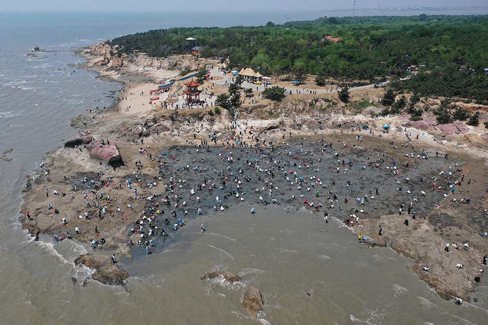 时隔三年再迎客青岛城阳红岛蛤蜊节引领潮流生活