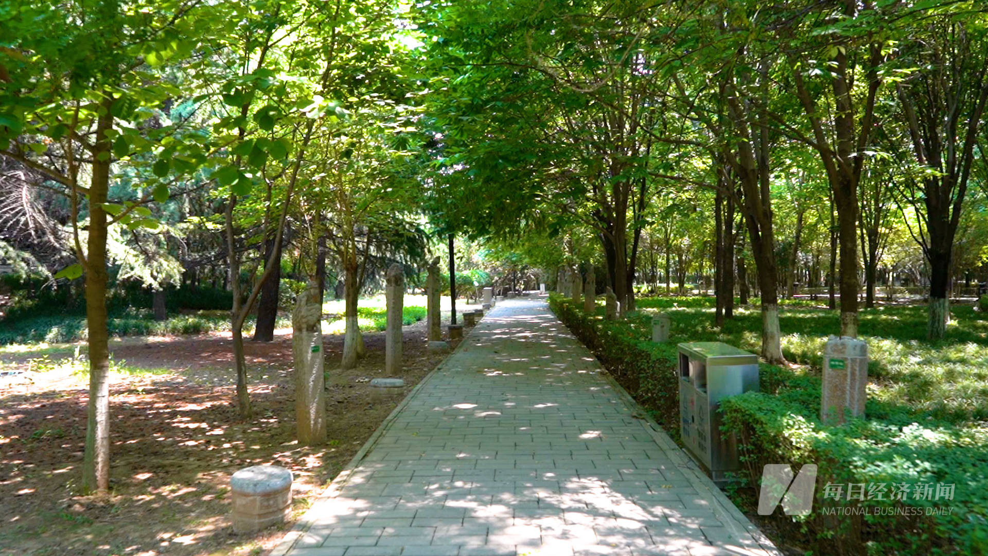 映巷lab〡诗意栖居,绿林长安 西安宝藏公园盘点之沣河森林公园