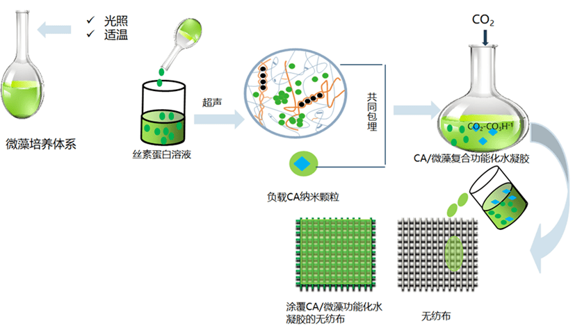 工程学院"乘科技之船,扬文化之帆,创艺术之美"鉴赏_微藻_凝胶_体系